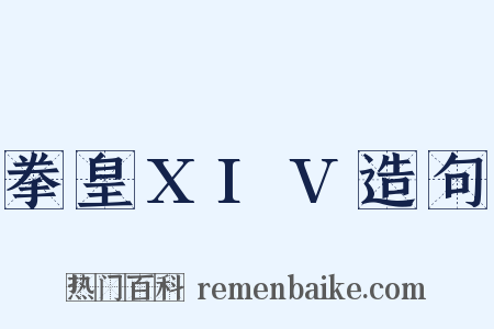 拳皇XIV造句是什么意思的图片